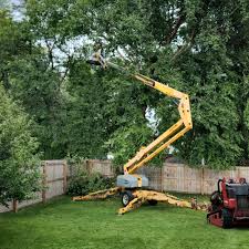 Lawn Drainage Solutions in Hurley, WI