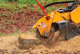 Lawn Watering Services in Hurley, WI