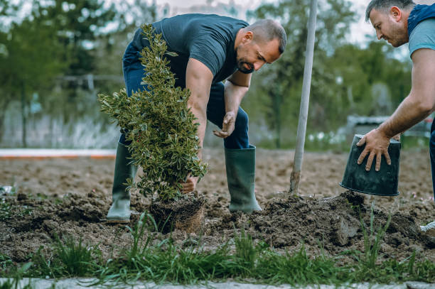Best Soil Testing and Treatment  in Hurley, WI