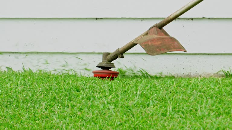 Best Stump Grinding and Removal  in Hurley, WI