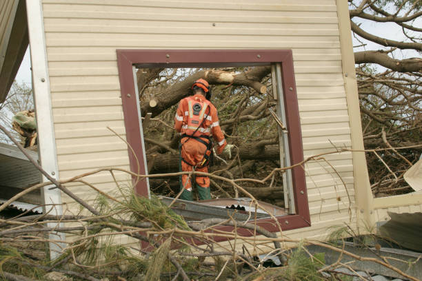 Best Commercial Tree Services  in Hurley, WI